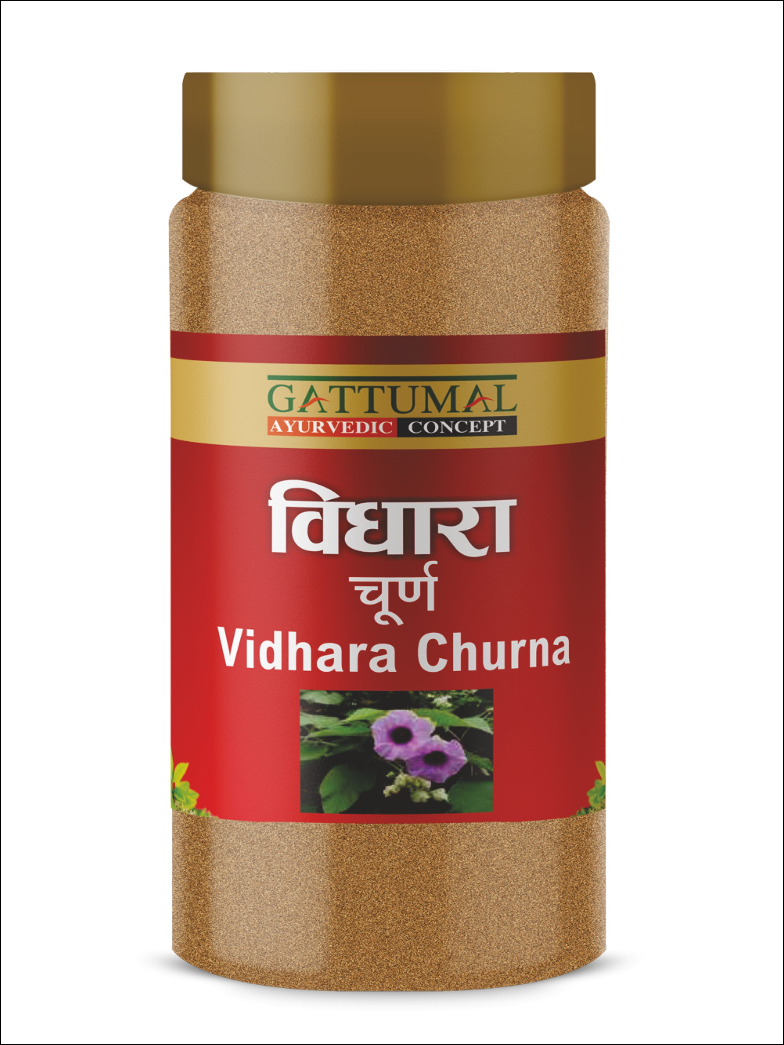 VIDHARA CHURNA